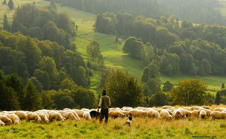 Pastýř ve snu – význam a symbolika 