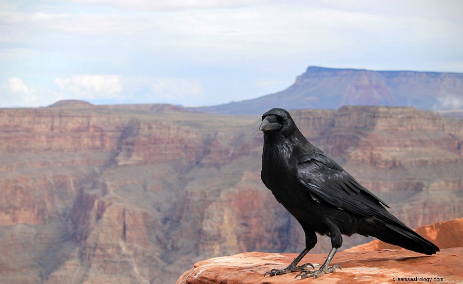 Rêver de corbeau – Signification et symbolisme 