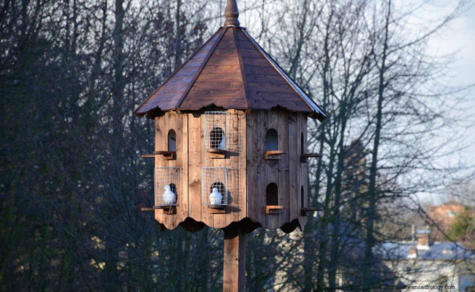 Que signifie rêver d un pigeonnier ? 