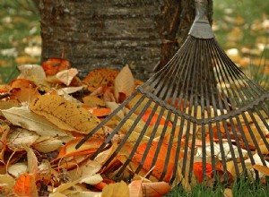 Rake In a Dream – Significado e Simbolismo 