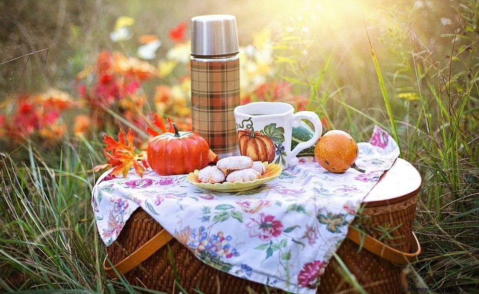 Wat betekent het om te dromen van een picknick? 