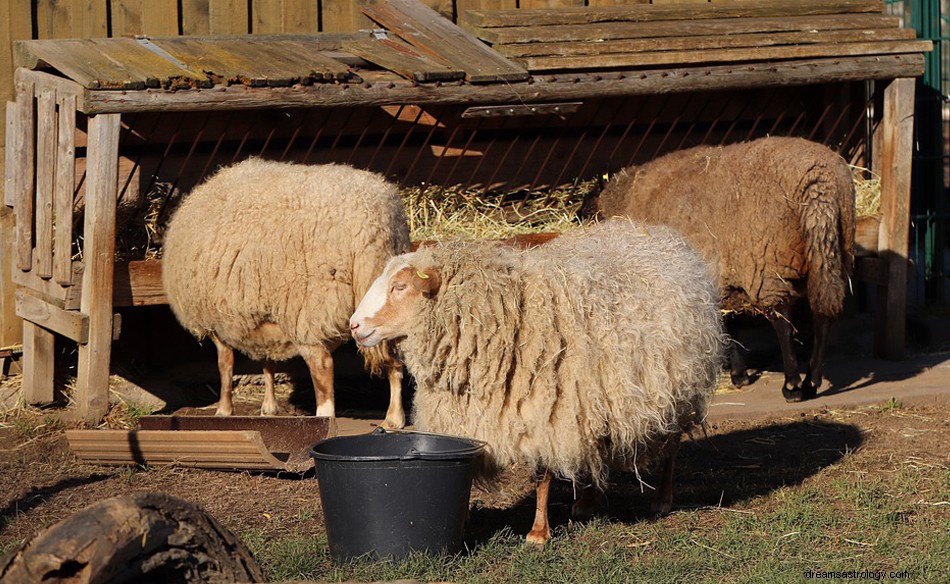 Manger dans un rêve - Signification et symbolisme 