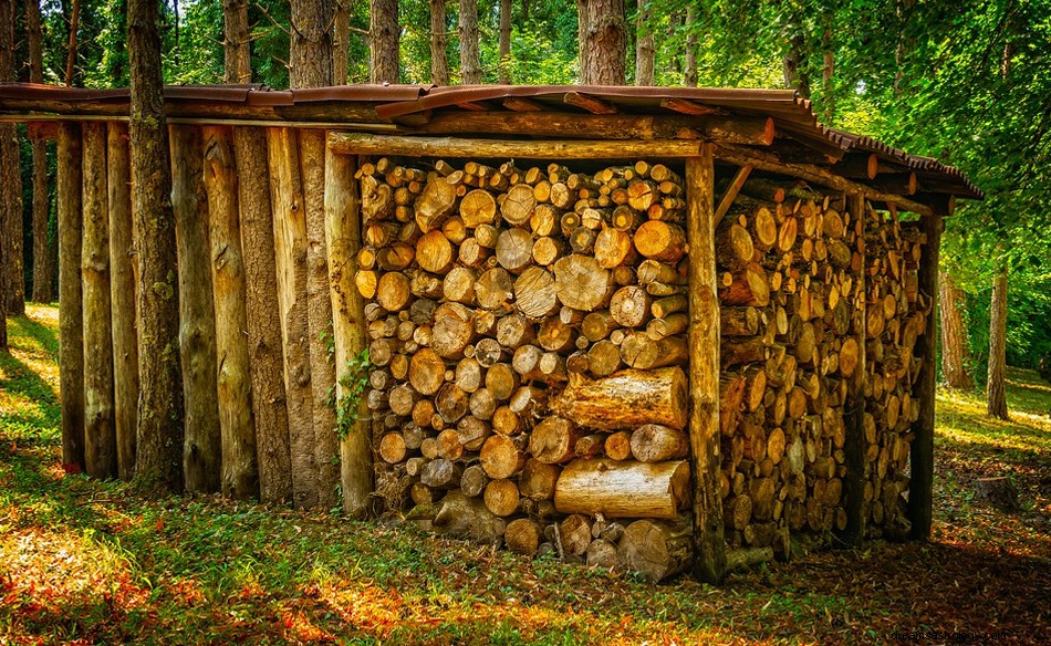 Drewno opałowe we śnie – znaczenie i symbolika 