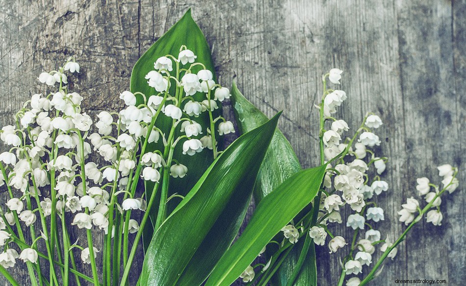 Muguet dans un rêve - Signification et symbolisme 