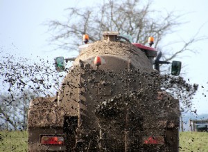 Estrume – Significado e simbolismo dos sonhos 