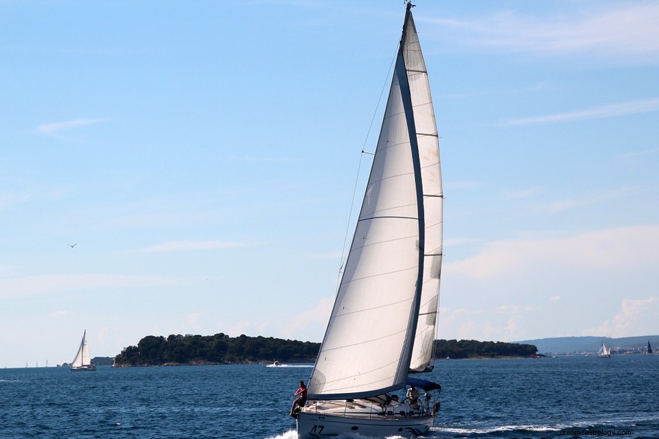 Dromen van een zeilboot - Betekenis en uitleg 