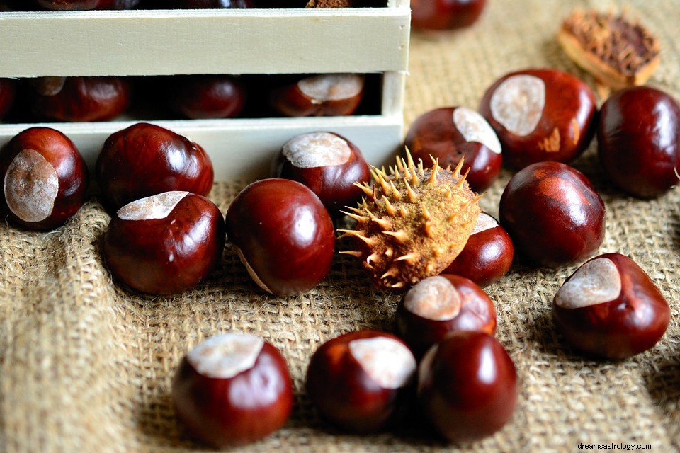 Chestnut in a Dream – Arti dan Simbolisme 