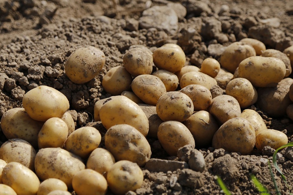 Aardappelen in een droom - Betekenis en symboliek 