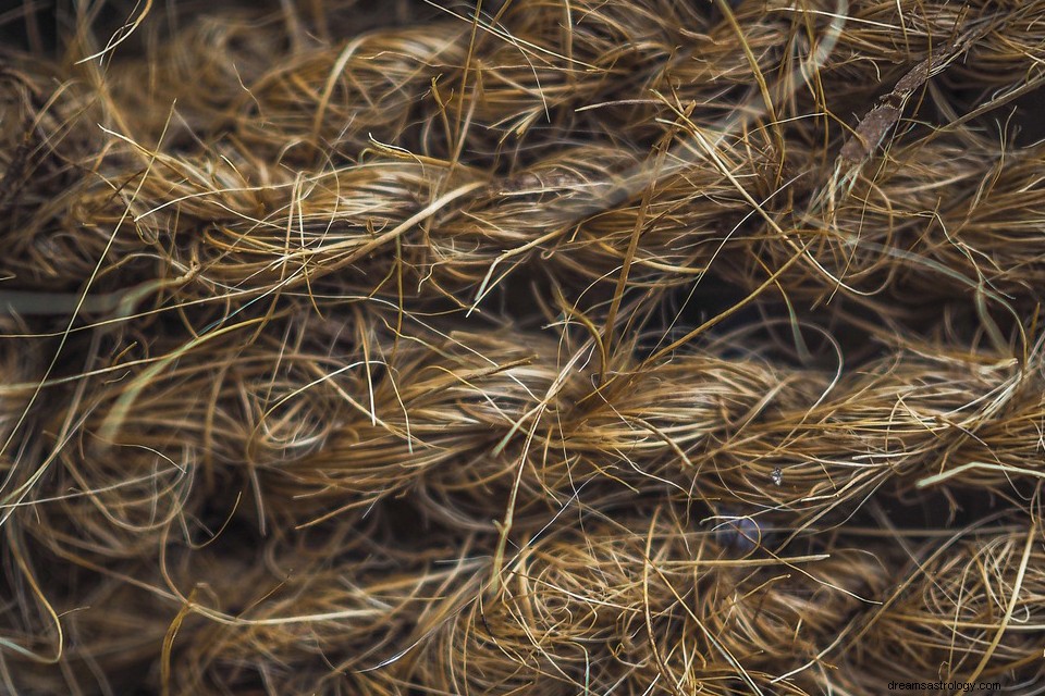 Oakum we śnie – znaczenie i symbolika 