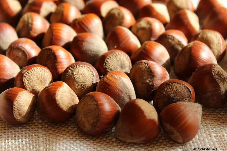 Bermimpi Tentang Hazelnut – Arti dan Simbolisme 