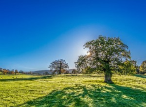 Hvad vil det sige at drømme om sommer? 