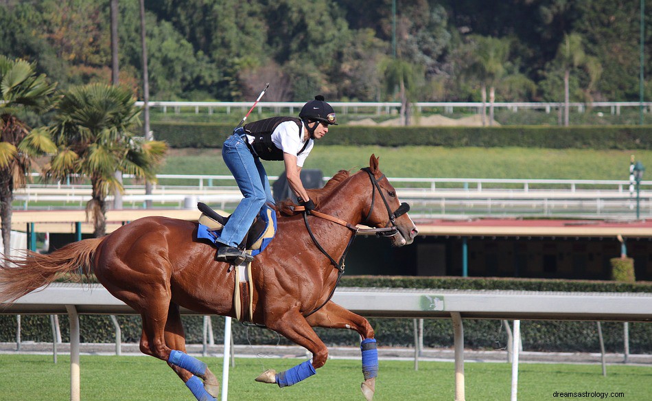 ¿Qué significa soñar con un Jockey? 