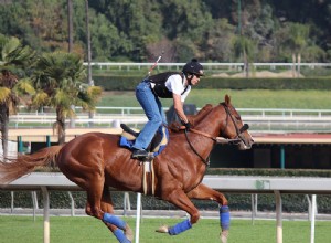 ¿Qué significa soñar con un Jockey? 