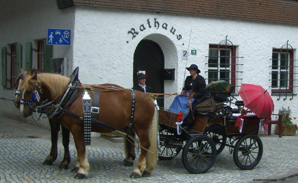 Coachman – drömmening och tolkning 