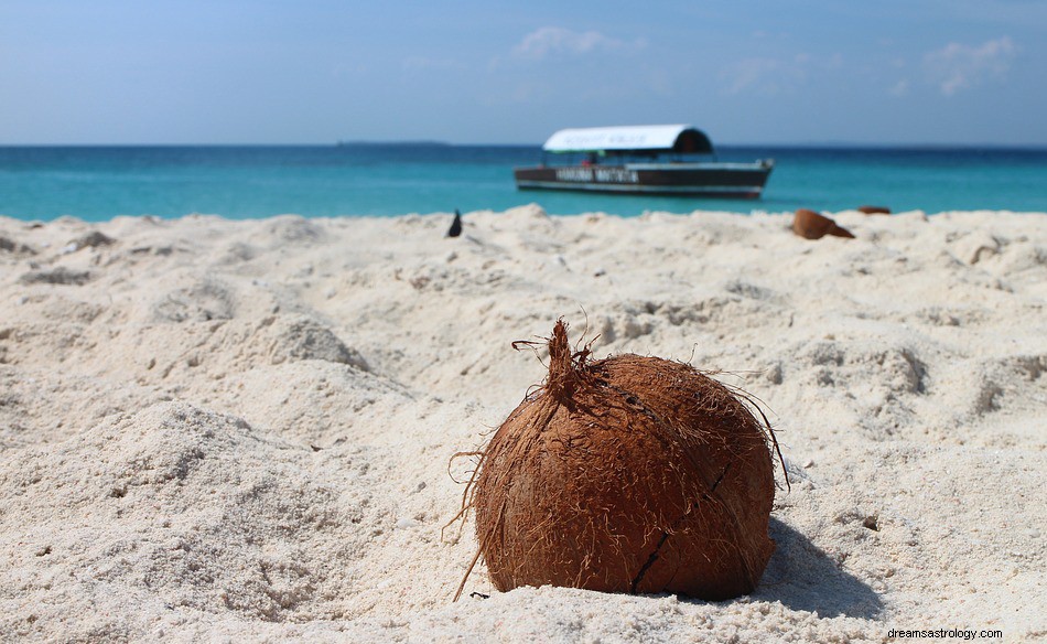 Vad betyder det att drömma om en kokosnöt? 