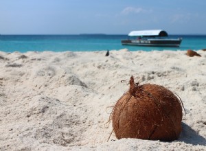 Was bedeutet es, von einer Kokosnuss zu träumen? 