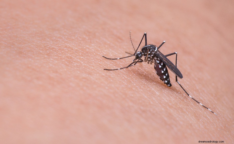 Sonhar com mosquitos – significado e simbolismo 