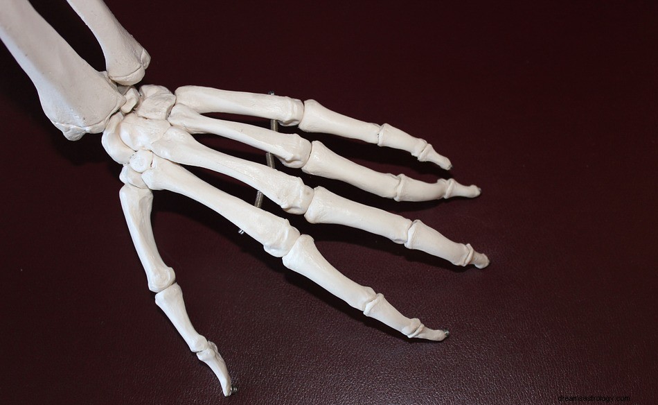 Huesos en un Sueño – Significado y Simbolismo 