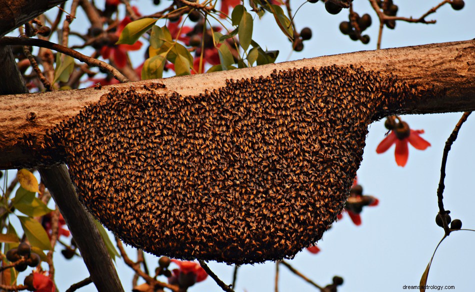 蜂の巣を夢見るとはどういう意味ですか？ 