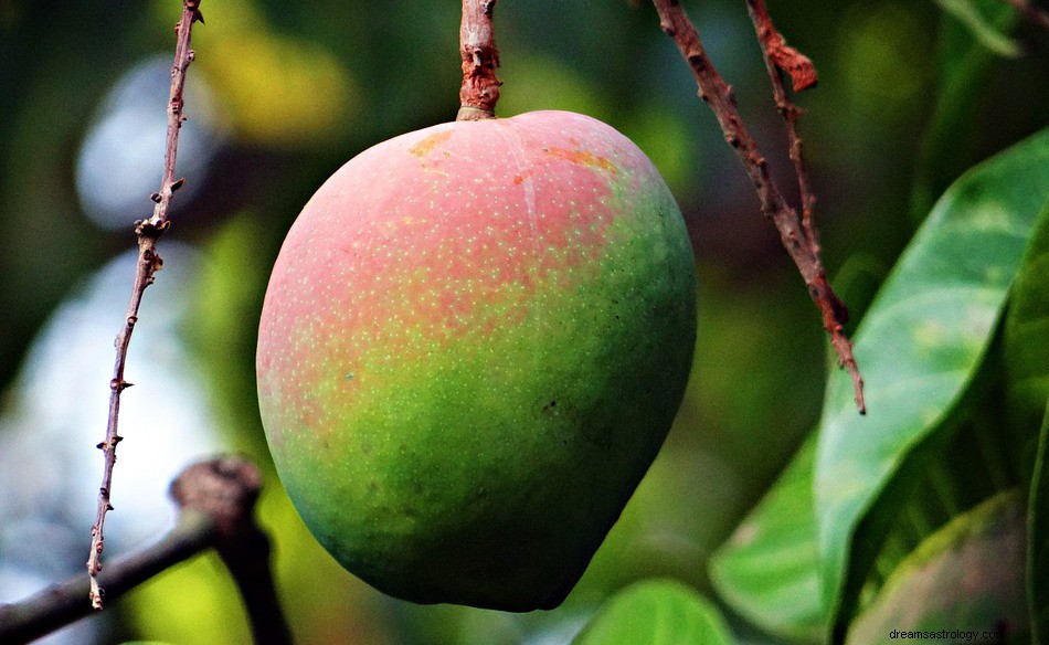 Mango - Droombetekenis en symboliek 