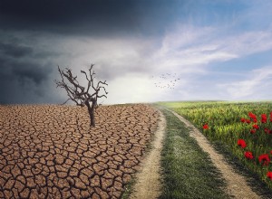 O que significa sonhar em mudar alguma coisa? 