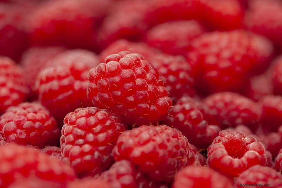 Raspberries – Όνειρο και ερμηνεία 