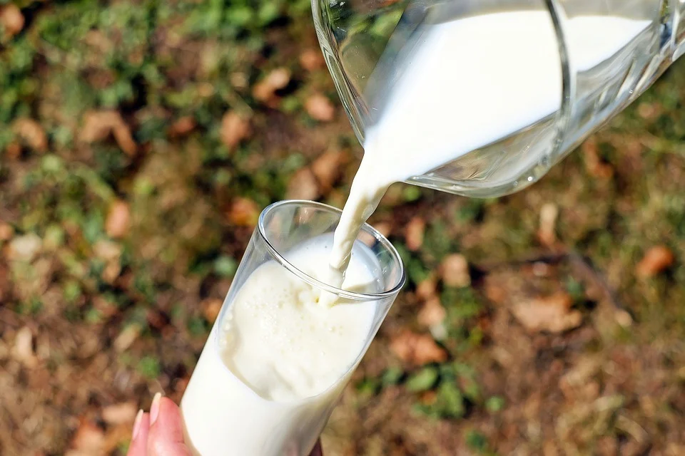 Melk – drømmebetydning og symbolikk 
