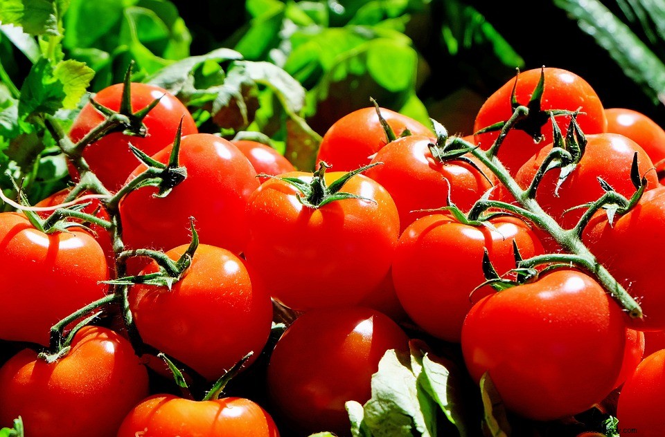 Que signifie rêver de tomates ? 