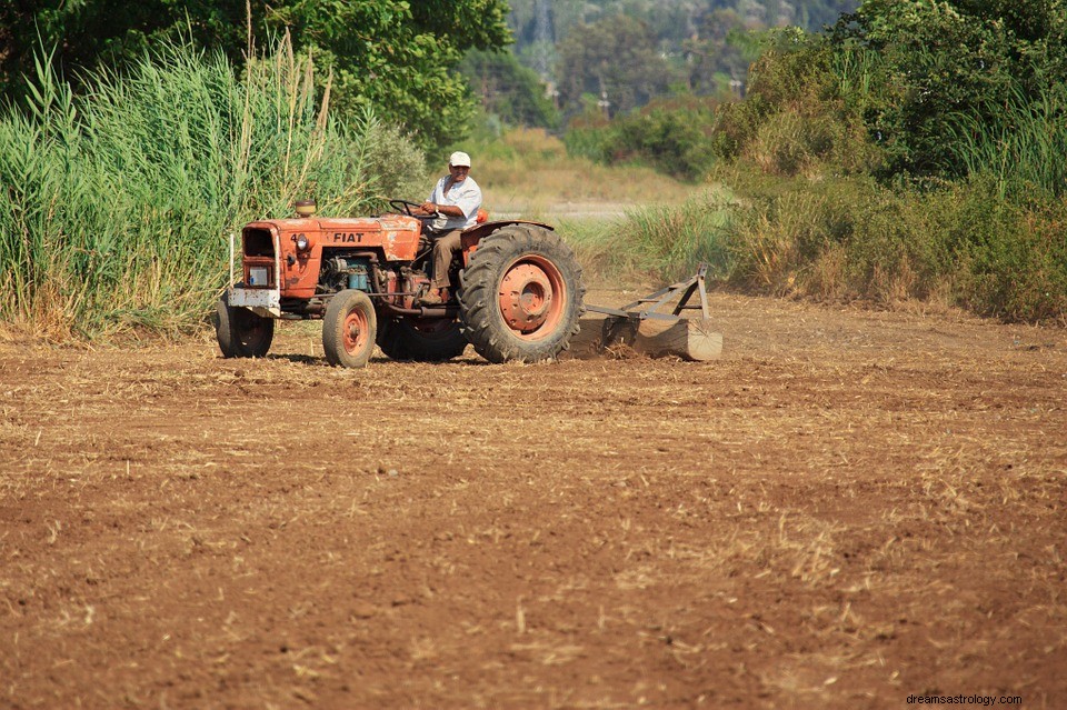 Signification de labourer dans un rêve 