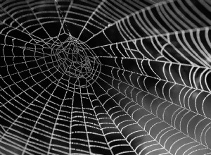 Significado da teia de aranha em um sonho 