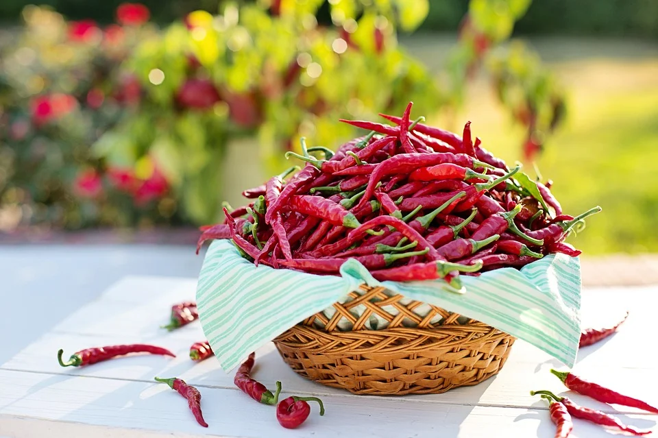 Wat betekent het om te dromen van paprika s (Chili Peppers)? 