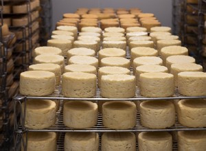 Signification du fromage dans un rêve 