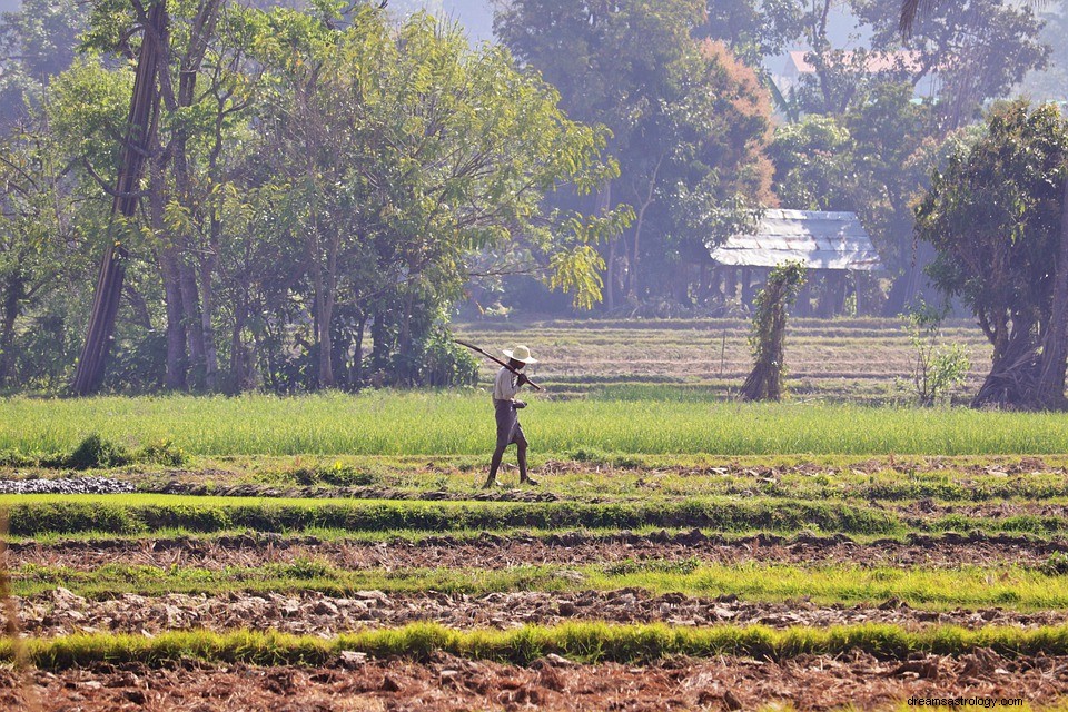 Campesinos o Aldeanos en un Sueño – Significado y Explicación 