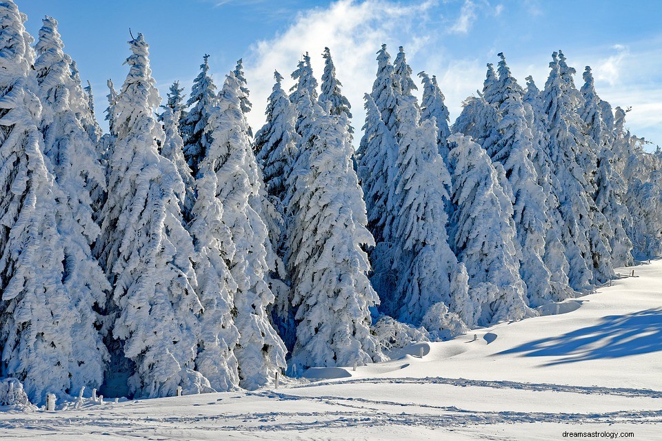 Neige dans un rêve - Signification et symbolisme 