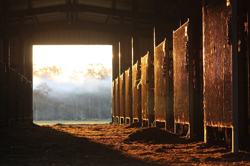 Stable - Signification et interprétation des rêves 