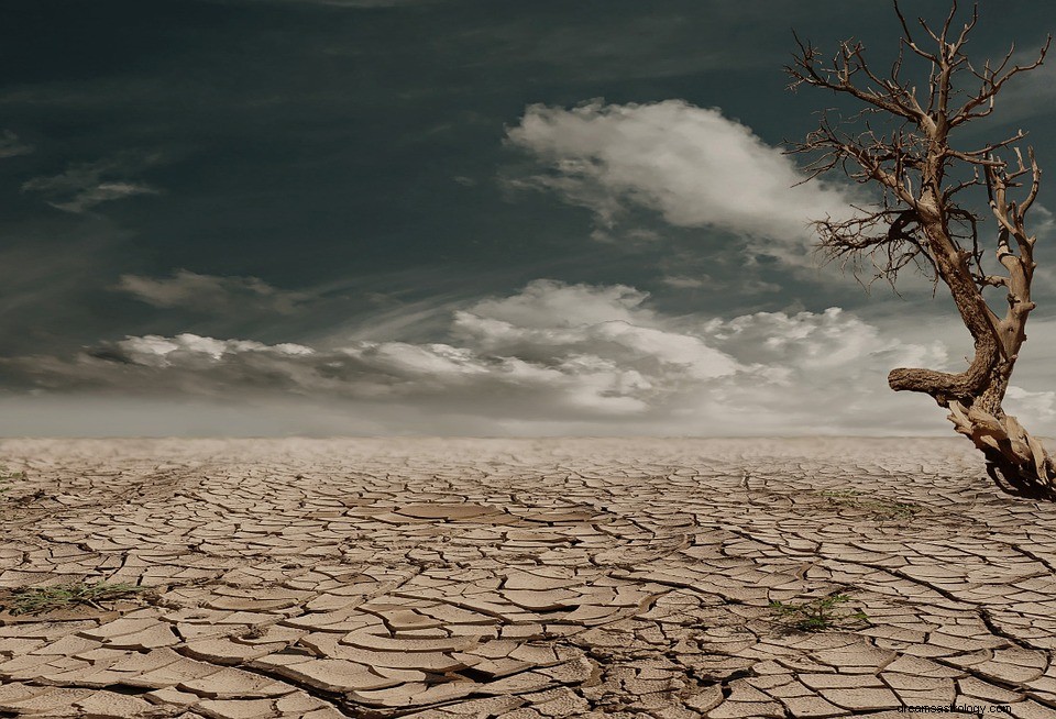 Dürre in einem Traum – Bedeutung und Symbolik 