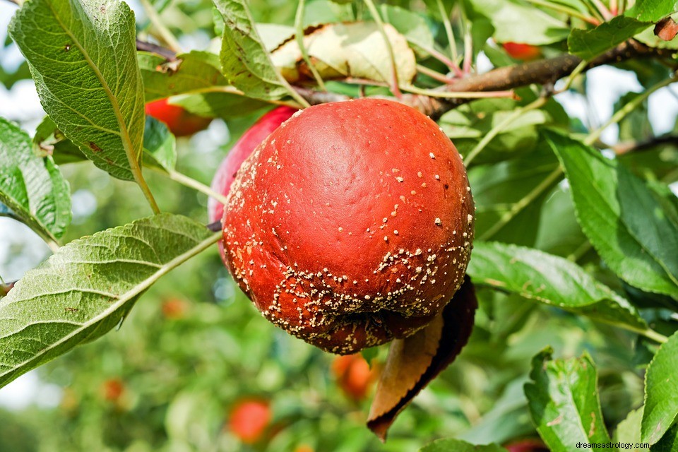 Zgnilizna we śnie – znaczenie i symbolika 