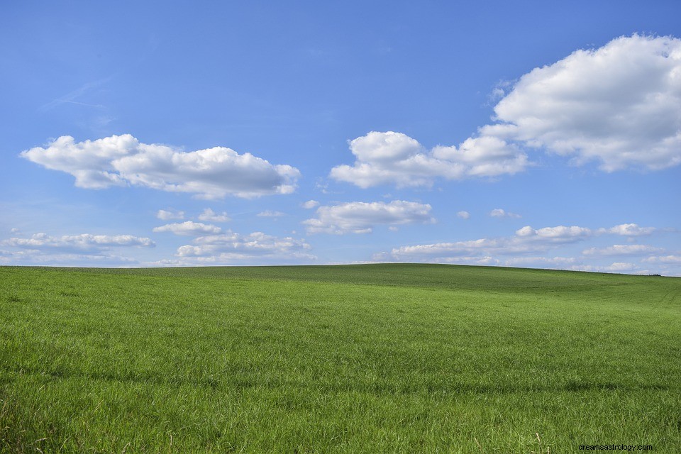 Gras - Betekenis en interpretatie van dromen 