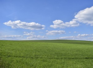 Herbe - Signification et interprétation des rêves 