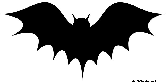 Sny o netopýrech – výklad a význam 