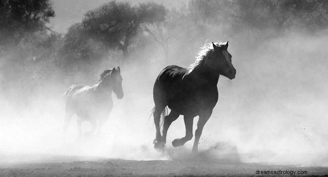 馬についての夢–解釈と意味 