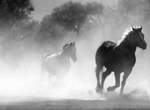 馬についての夢–解釈と意味 