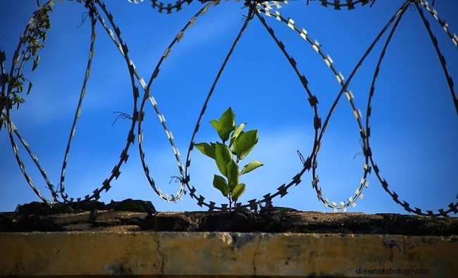 Drømmer om fengsel – tolkning og mening 