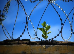 Dromen over de gevangenis - Interpretatie en betekenis 