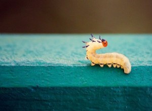 Mimpi Tentang Cacing – Tafsir dan Arti 