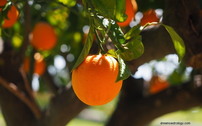 Bibelsk betydning af orange frugt i en drøm - fortolkning og betydning 