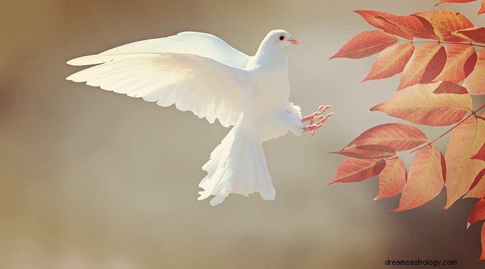 Significado bíblico de pássaros em sonhos - Interpretação e significado 