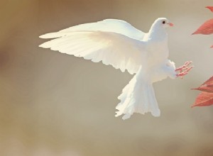 Significado Bíblico de las Aves en los Sueños – Interpretación y Significado 