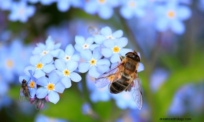 Signification biblique des insectes dans les rêves 