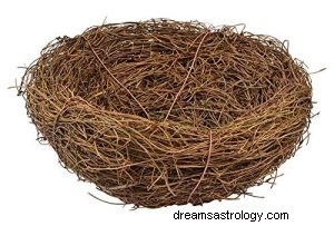 ¿Qué significa soñar con un nido? 